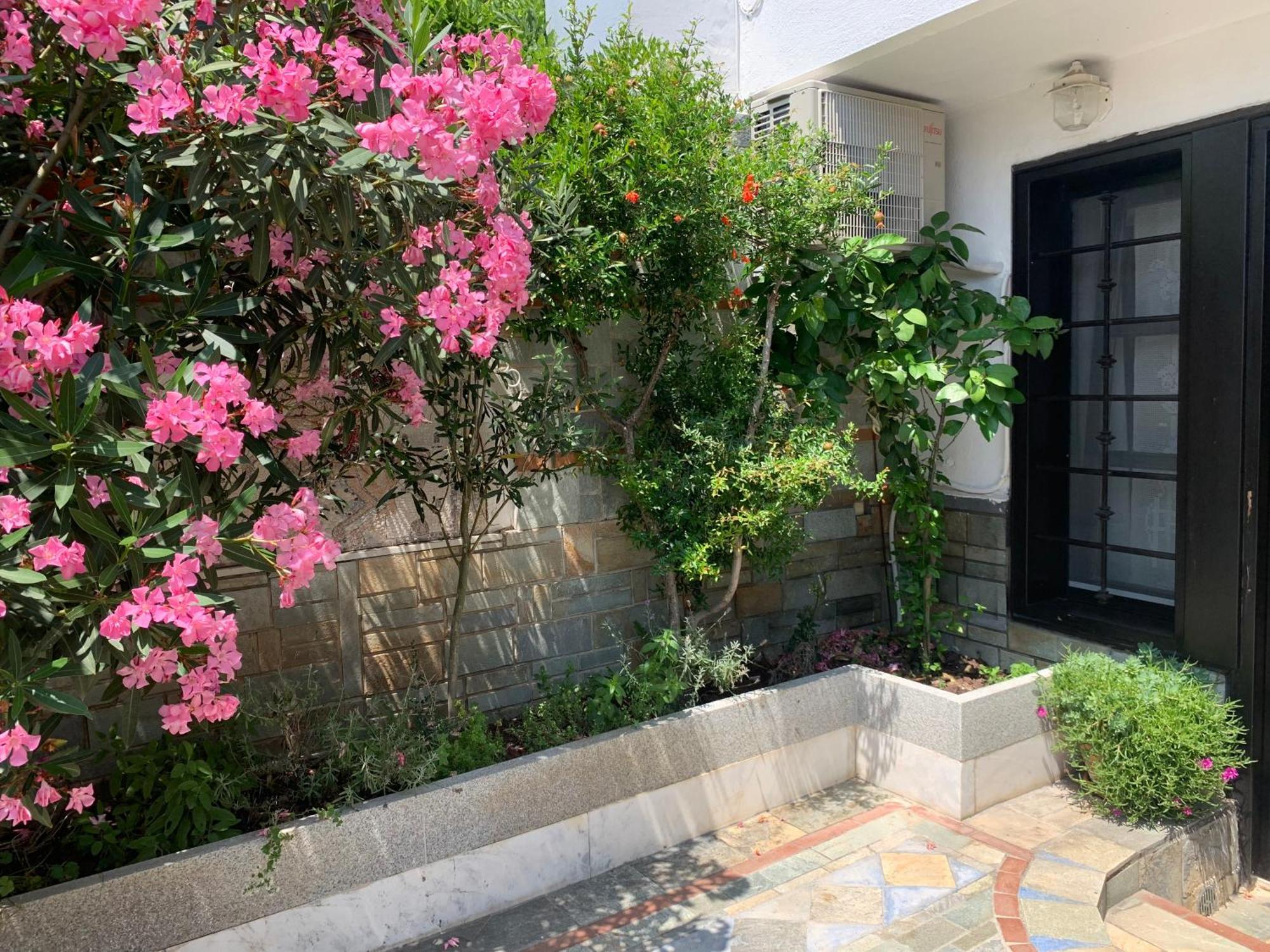Gemuetliches Appartement In Ano Poli Thessaloniki Exterior photo